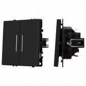 Выключатель двухклавишный без рамки Arlight SWT 054264