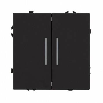 Выключатель двухклавишный без рамки Arlight SWT 054264-1