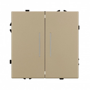 Выключатель двухклавишный без рамки Arlight SWT 054265-2