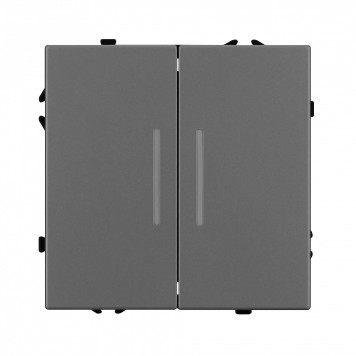 Выключатель двухклавишный без рамки Arlight SWT 054266-2