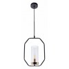 Подвесной светильник Arte Lamp Celaeno A7004SP-1BK