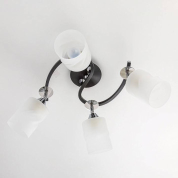 Потолочная люстра Citilux Сиерра CL119241-2