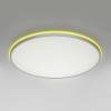 Накладной светильник Citilux NORMA CL749600
