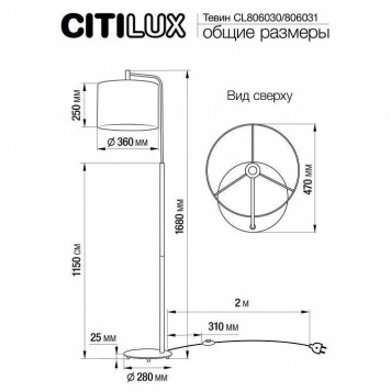 Торшер Citilux Тевин CL806031-2