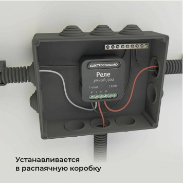 Конвертер Wi-Fi для смартфонов и планшетов Elektrostandard 76006 a059324-7