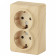 Розетка двойная с заземлением Эра Эра Эксперт 11-2205-11