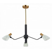 Люстра на штанге EVOLUCE Lita SLE205403-03
