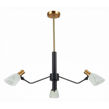 Люстра на штанге EVOLUCE Lita SLE205403-03