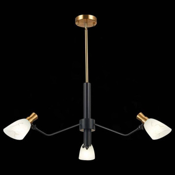 Люстра на штанге EVOLUCE Lita SLE205403-03-2