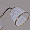 Люстра на штанге ILLUMICO IL0344-3CSQ-79 BK AB