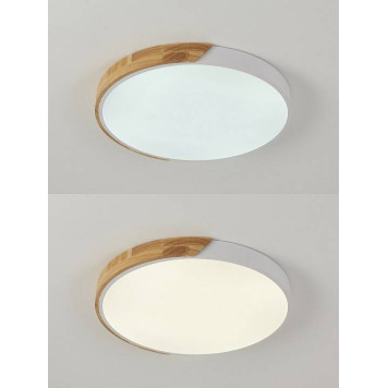 Накладной светильник Natali Kovaltseva Scandinavian LED LAMPS 81182-5