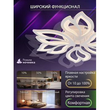 Потолочная люстра Natali Kovaltseva FORTUNA LED LAMPS 81107/6C-5