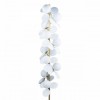 Торшер Loft it Matisse 10008F white