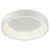 Накладной светильник Odeon Light Sole 4062/50CL