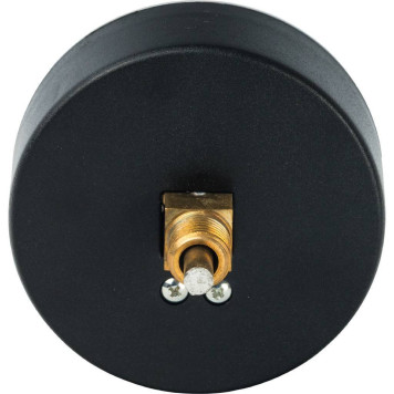 Термоманометр аксиальный Watts FR 818 TMAX 4, 1/2 x 4 бар (80мм)-3