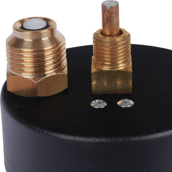 Термоманометр аксиальный Watts F+R818 DN 80 6х1/2 (0-6 бар)-5