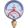 Термоманометр радиальный Watts F+R828 DN 80 (0-4 бар)