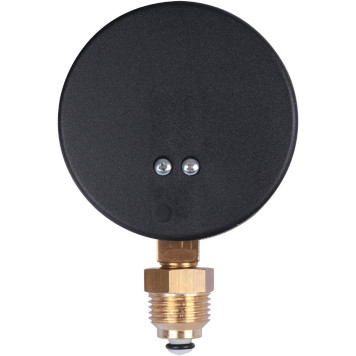 Термоманометр радиальный Watts F+R828 DN 80 (0-4 бар)-2