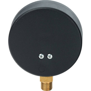 Термоманометр радиальный Watts F+R828 DN 80 10х1/2 бар 0-10-3