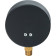 Термоманометр радиальный Watts F+R828 DN 80 10х1/2 бар 0-10