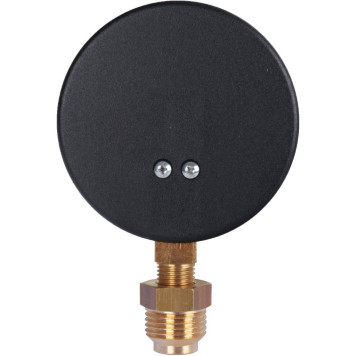 Термоманометр радиальный Watts F+R828 DN 80 6х1/2 0-6 бар-2