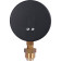 Термоманометр радиальный Watts F+R828 DN 80 6х1/2 0-6 бар
