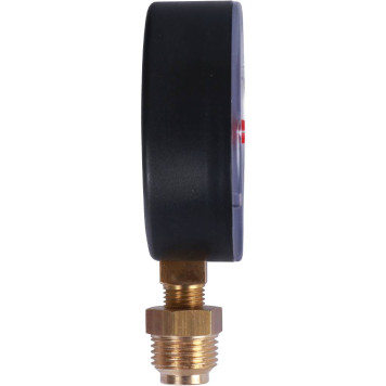 Термоманометр радиальный Watts F+R828 DN 80 6х1/2 0-6 бар-3