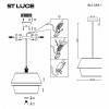 Подвесной светильник ST-Luce Jackie SL1354.413.01