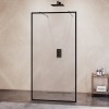 Душевая перегородка RGW WA-017B 1200