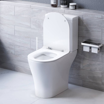 DX86C8600SC Унитаз-компакт безободковый, с сиденьем микролифт-2