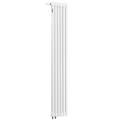 Вертикальный радиатор Arbonia 2180/06 N69 твв с нижней подводкой