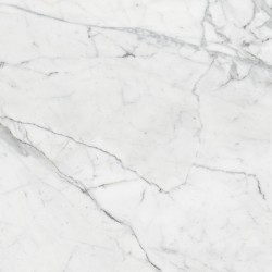 Marble Trend Керамогранит K-1000/MR/60x60x10/S1 Carrara