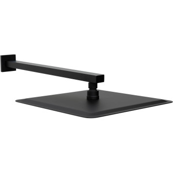 Allen Brau Infinity Верхний душ 30x30 см, цвет: черный 5.21A19-31-3