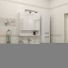 Roca The Gap Original Зеркальный шкаф 70x12.9x85см, с LED-светильником, блоком с розеткой, цвет: белый. Z.RU93.0.288.6