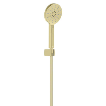 AQ2033BG ОБЕРОН душевой набор Select 120 3 jet, шлиф. золото AQ2033BG