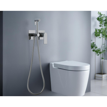 AQ1420CR ЛИРА комплект для гигиенического душа встроенный 2 отв. (смеситель + гигиеническая лейка + шланг) AQ1420CR-3