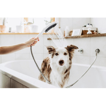 26640670 HG DogShower ручной душ для собак 150,3jet,матовый черный 26640670-4