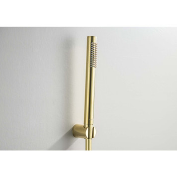 AQ2034BG ЕВРОПА душевой набор 1jet, шлиф. золото AQ2034BG-5