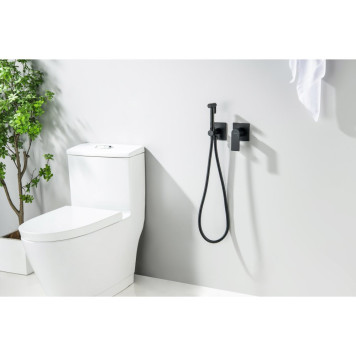 AQ1420MB ЛИРА комплект для гигиенического душа встроенный 2 отв. (смеситель + гигиеническая лейка + шланг), матовый черный AQ1420MB-3