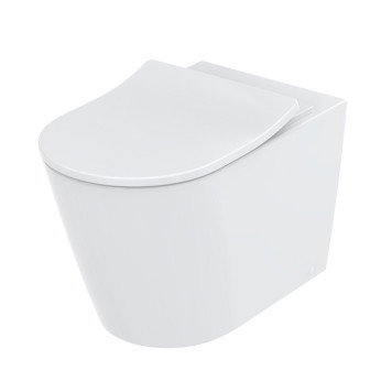 TOTO RP Унитаз напольный 38x64см, безободковый, цвет: белый. CW563Y#XW-3