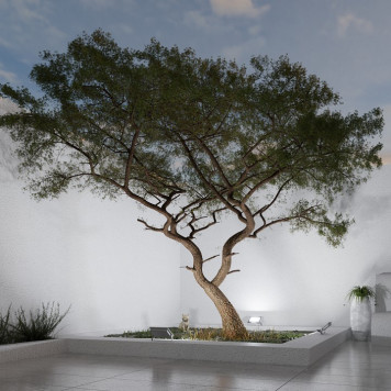 Настенно-потолочный прожектор Apeyron Electrics 05-48-1