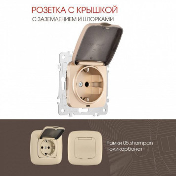 Розетка влагозащищенная с заземлением и со шторкой с крышкой Arte Milano am-205 205.41-1.shampan-1