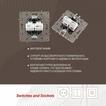 Розетка двойная RJ-11 и Ethernet RJ-45, без рамки Arte Milano am-217 217.44-1.shampan-3