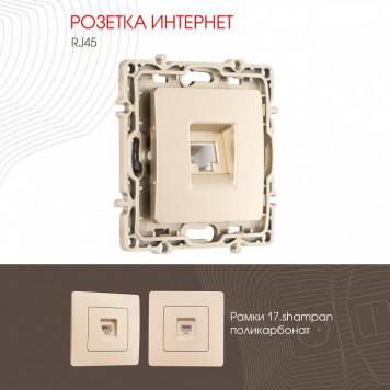 Розетка Ethernet RJ-45 без рамки Arte Milano am-217 217.45-1.shampan-1