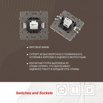 Розетка Ethernet RJ-45 без рамки Arte Milano am-217 217.45-1.shampan-3