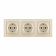 Розетка с заземлением и со шторкой Arte Milano SET06-3 SET06-3-40-1x3 shampan