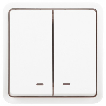 Выключатель двухклавишный с подсветкой Эра Эра Эксперт 11-1525-01-1