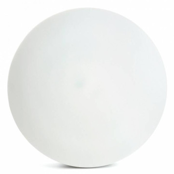 Накладной светильник Feron AL1600 51110-1