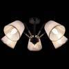 Люстра на штанге ILLUMICO IL0344-5CSQ-79 BK AB