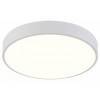 Накладной светильник Natali Kovaltseva LED LAMPS 81112/5C